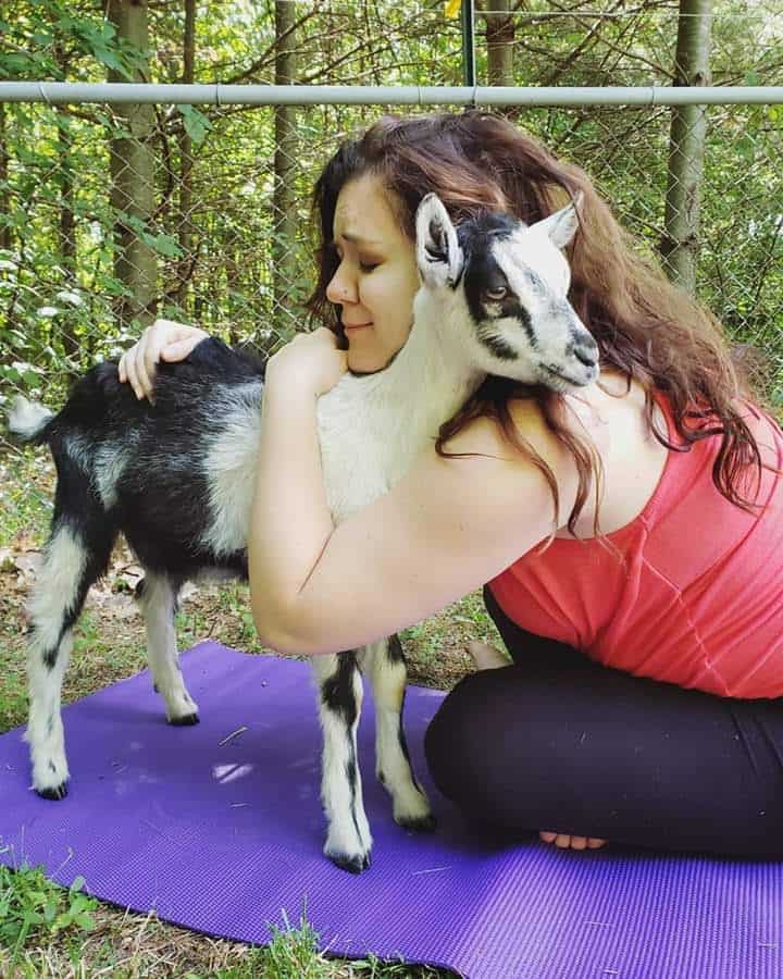 amy sitting on a purple yoga mat and hugging a black and white goat
