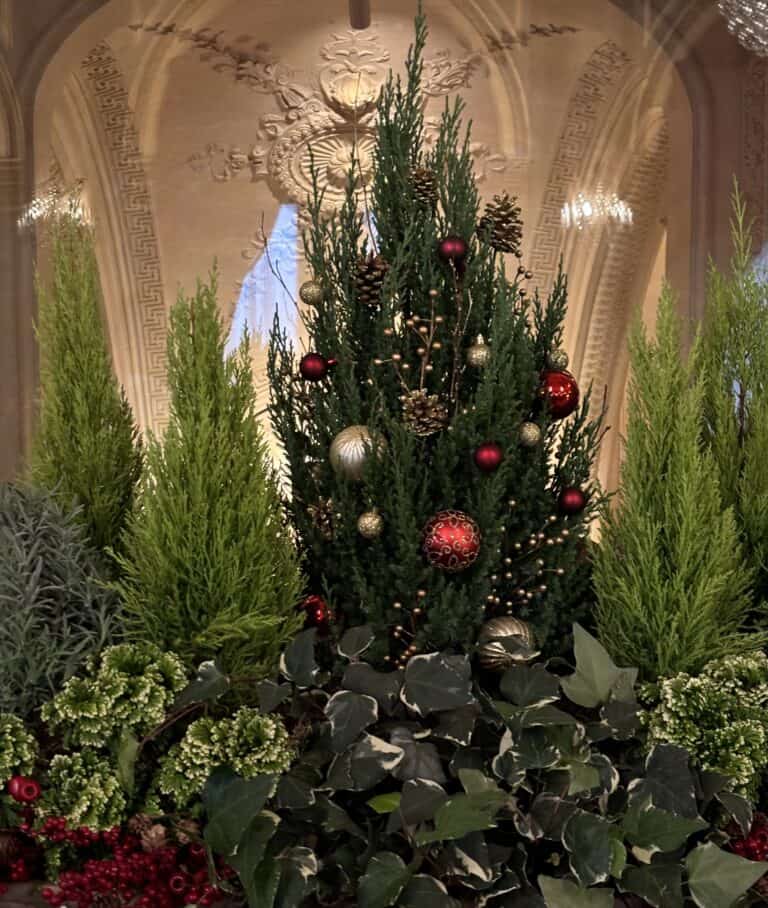 12 Merriest Christmas Events In New England New England With Love 12-merriest-christmas-events-in-new-england-new-england-with-love