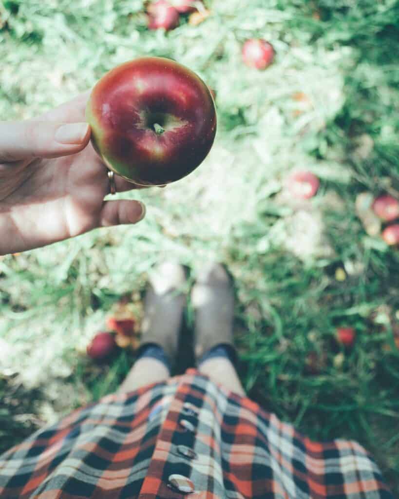 feet in boots and a hand holding an apple, fall 