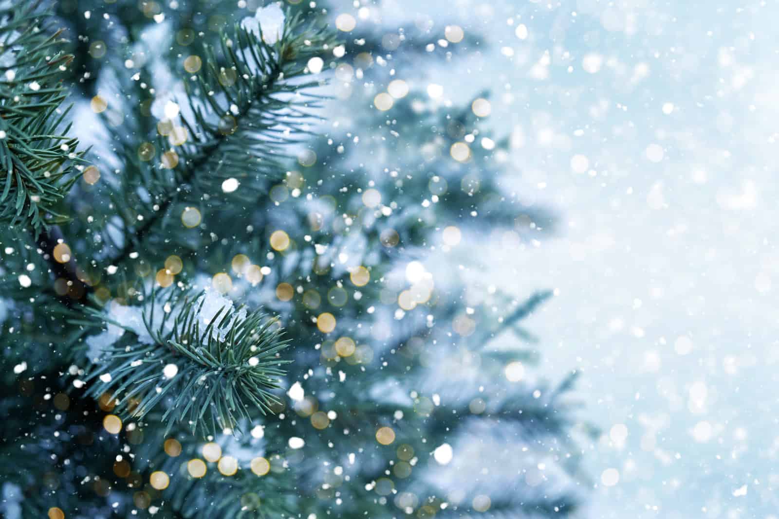 Closeup of Christmas tree with light, snow flake. Christmas and New Year holiday background. vintage color tone.