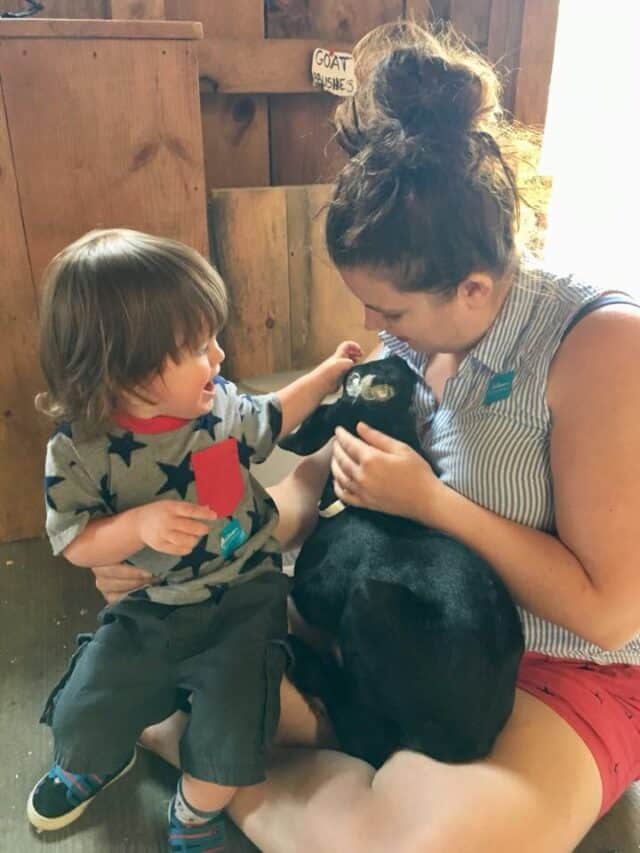 24 Best Things to Do in Manchester VT in 2024! New England With Love