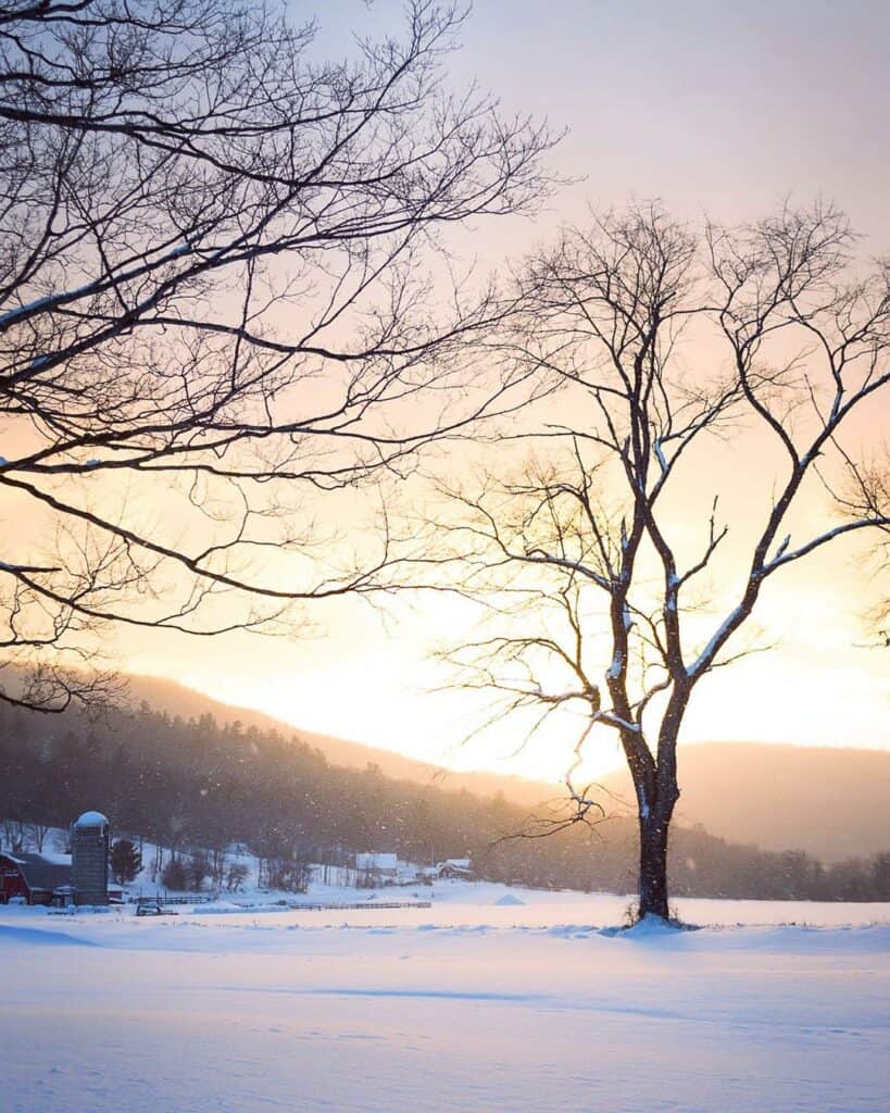 a snowy vermont field at dusk with bare trees