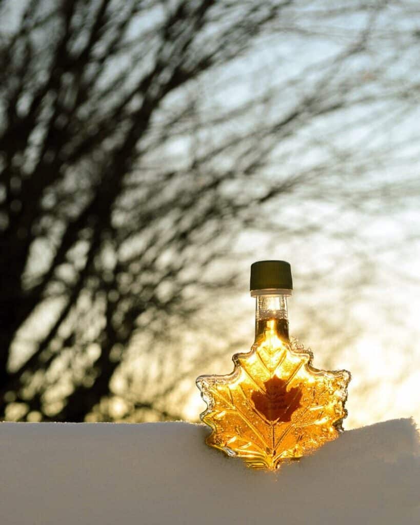 a glass bottle of maple syrup sits in the snow at sunset