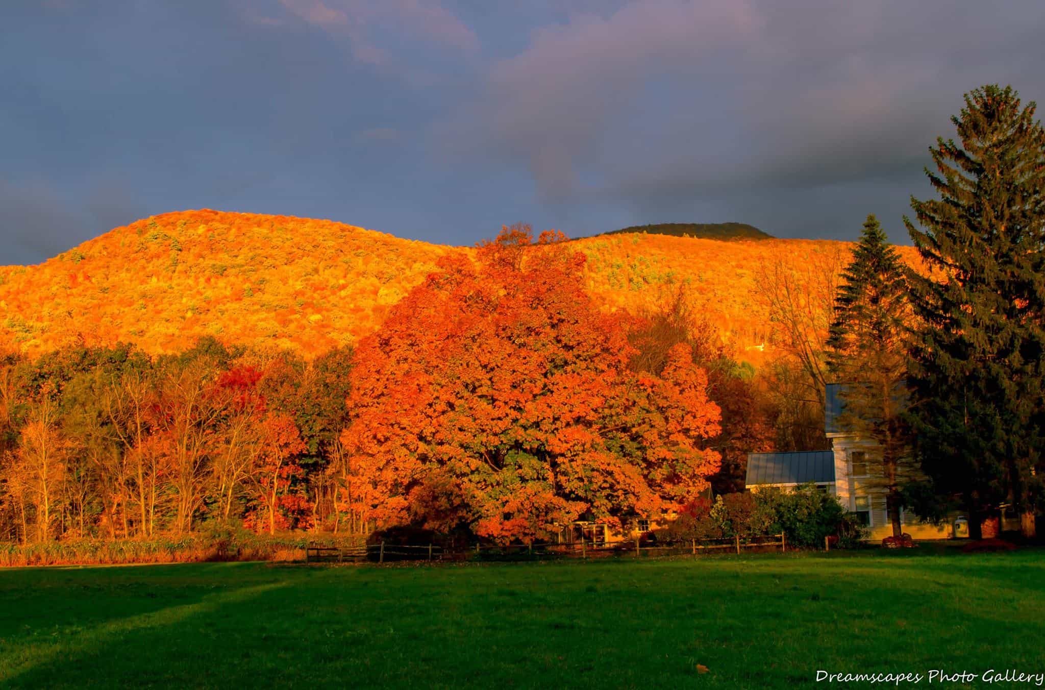 A stunning autumnal landscape bathed in golden sunset light, highlighting the fiery hues of fall foliage on a hillside in Vermont, evoking the warmth and tranquility of the season