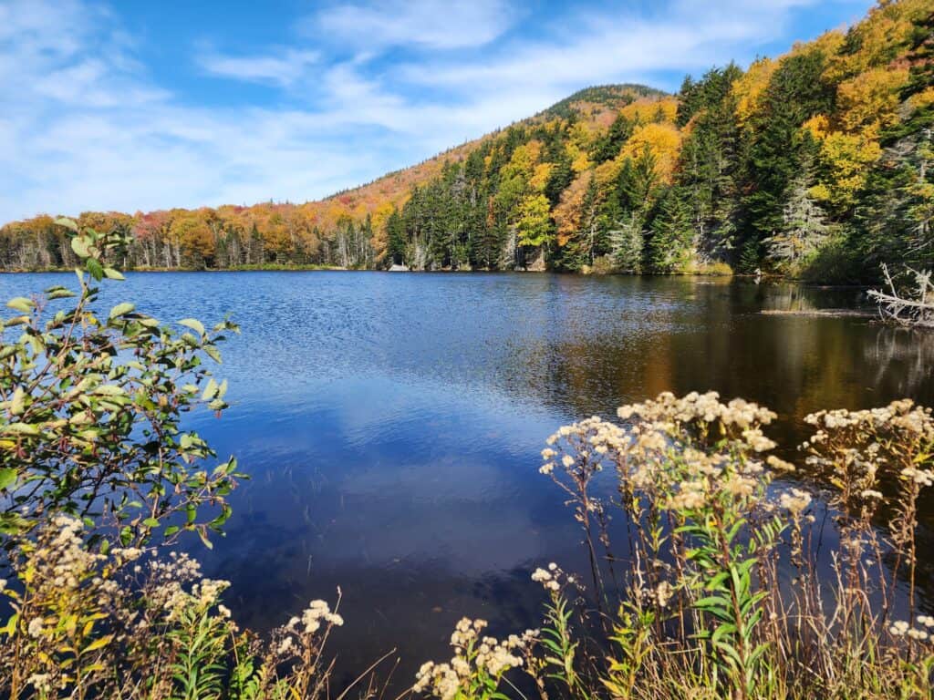 A serene lake reflects the vivid autumn foliage of New England, with a mix of green, yellow, and orange leaves against a clear blue sky. This peaceful setting is a highlight for travelers on a New England states road trip, offering a moment of reflection amidst nature's splendor.