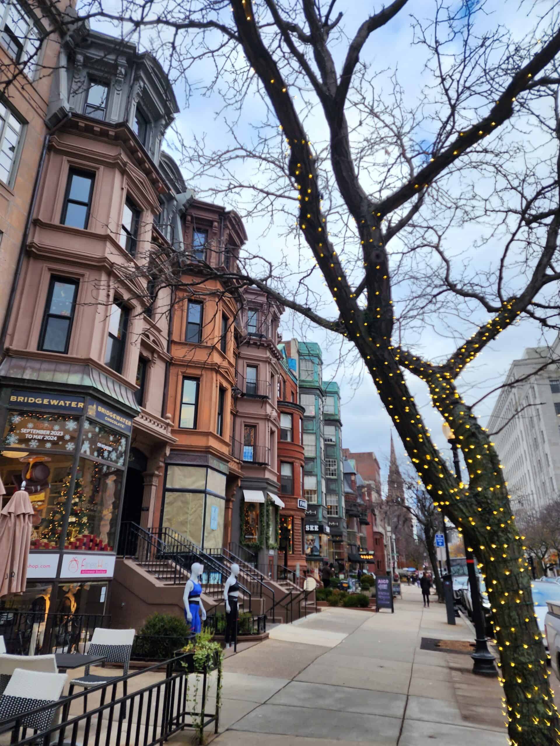 Twinkling lights wrap around a tree on Newbury Street in Boston, with the iconic brownstone buildings lining the street, creating a picturesque scene that embodies the best of Boston's urban charm