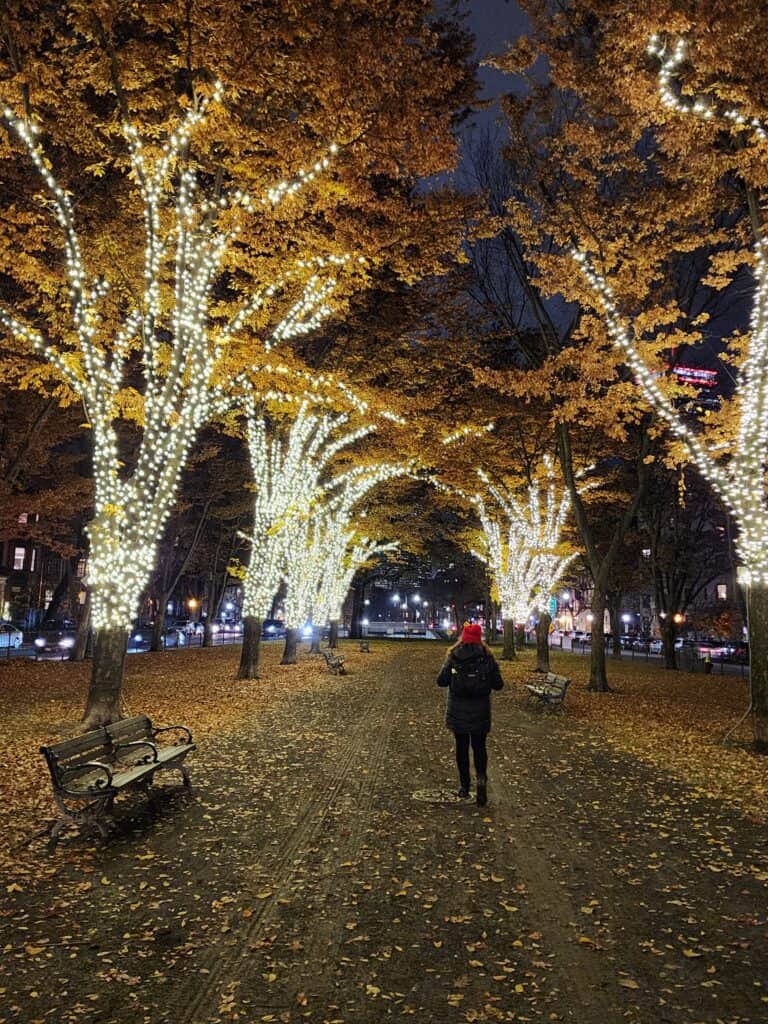 Woman in black coat and red hat walking in a park with bare trees covered in white Christmas lights, a scene of winter in Boston 