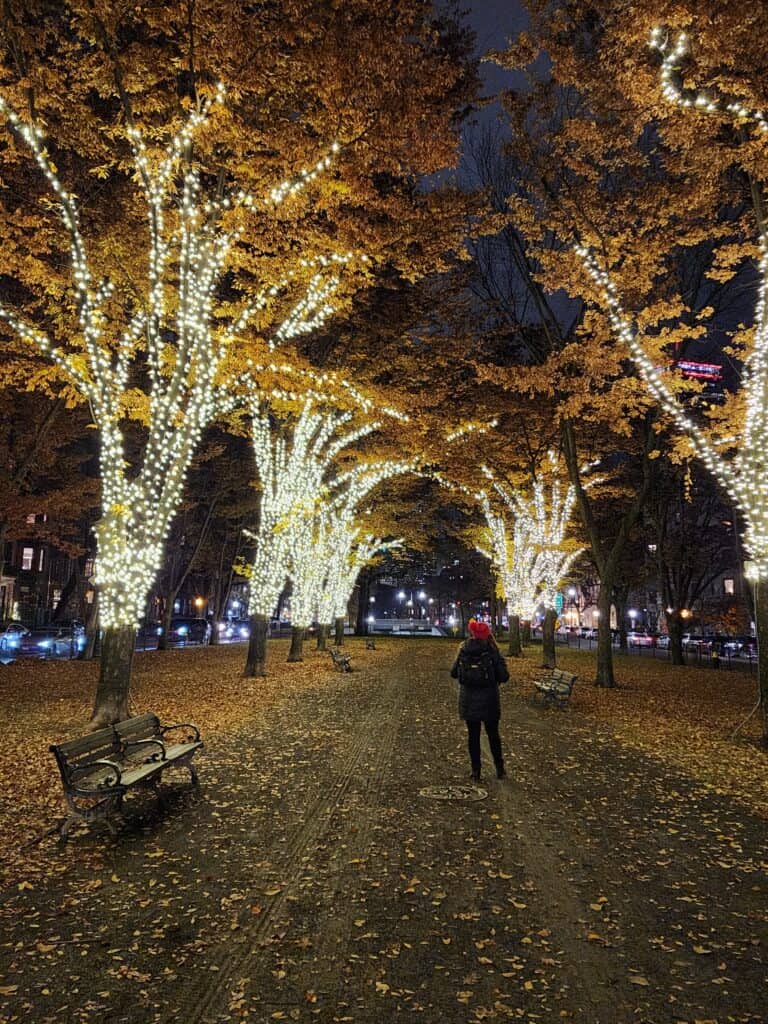 A woman stands with trees lit for the holidays around her in Boston