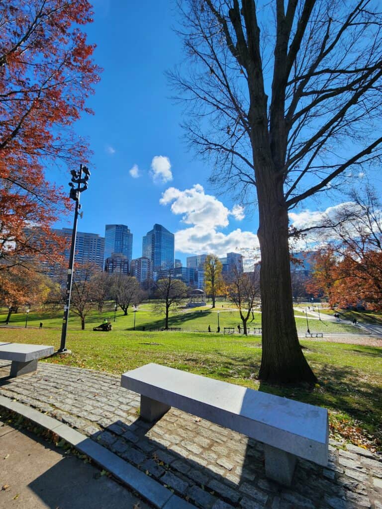 Autumnal view from the Boston Common with vibrant fall foliage against a clear blue sky, overlooking the cityscape, an idyllic spot for any Boston travel itinerary