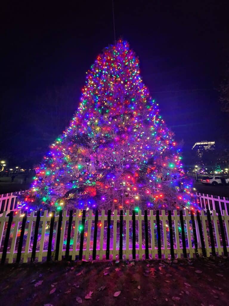 The night view of a resplendent Christmas tree illuminated with a kaleidoscope of lights, centered in a Boston park, encircled by a white fence, capturing the essence of Christmas in Boston.
