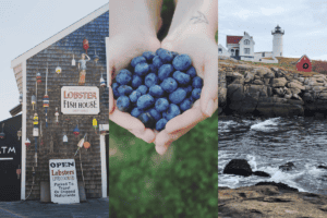 A visual triptych showcasing 'things to do in Maine': the rustic exterior of a lobster and fish house adorned with colorful buoys, hands holding a bounty of fresh, plump Maine blueberries, and the picturesque Nubble Lighthouse standing sentinel on a rocky coastline, epitomizing Maine's coastal charm and agricultural richness