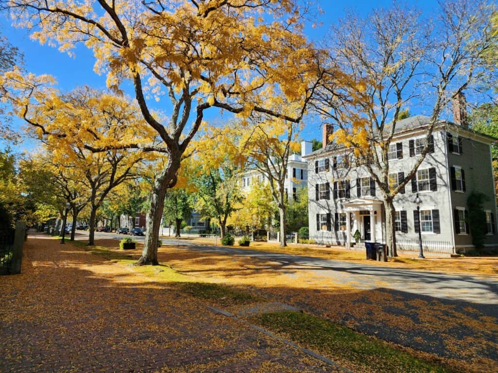 A serene Salem, Massachusetts street during a fall getaway, lined with historic homes and blanketed in golden leaves from towering trees, capturing the tranquil essence of autumn.