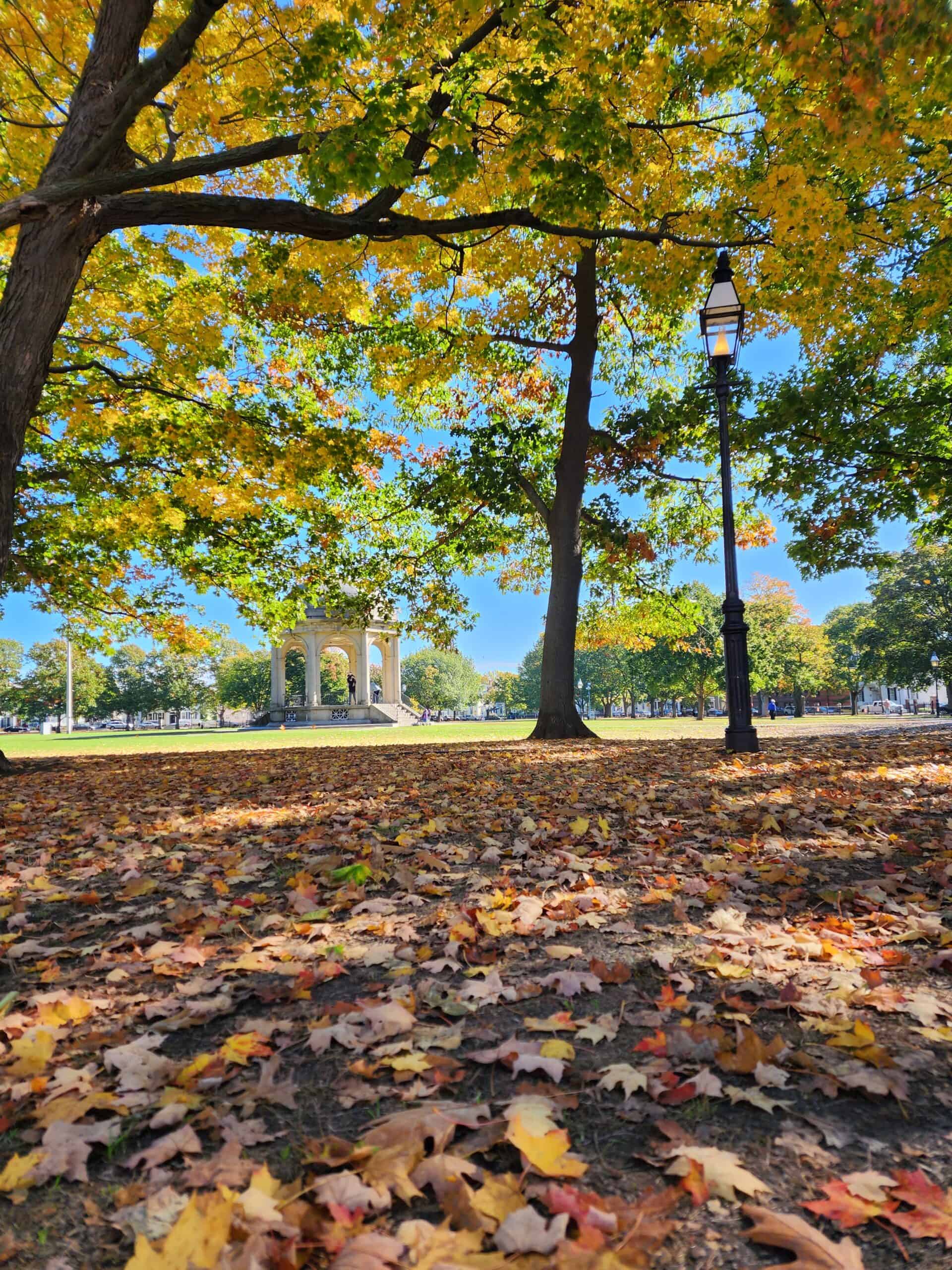 A gorgeous sunny fall day in salem ma in october. Fall leaves lay all over the ground while a white gazebo in a park is seen I'm the background and a classic lamppost nearby