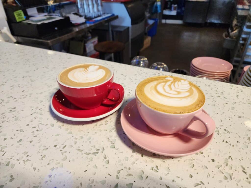 Two cappuccinos with delicate foam art, one in a red cup and the other in a pink cup, served on a terrazzo countertop, symbolizing the vibrant coffee culture in a Burlington, Vermont café.