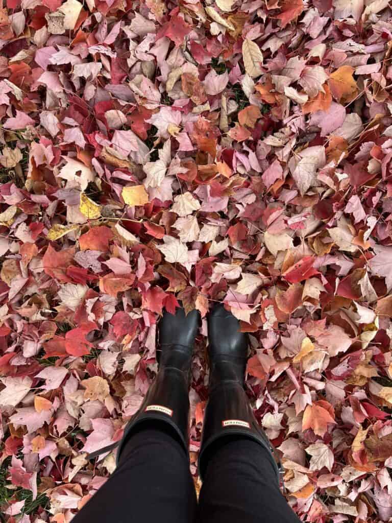 A person's boots surrounded by fall foliage leaves on the ground 