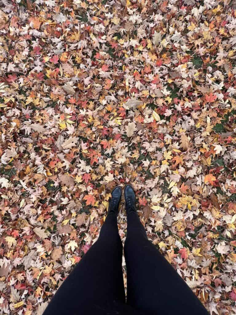Fall foliage leaves cover the ground as someone in boots stands in them