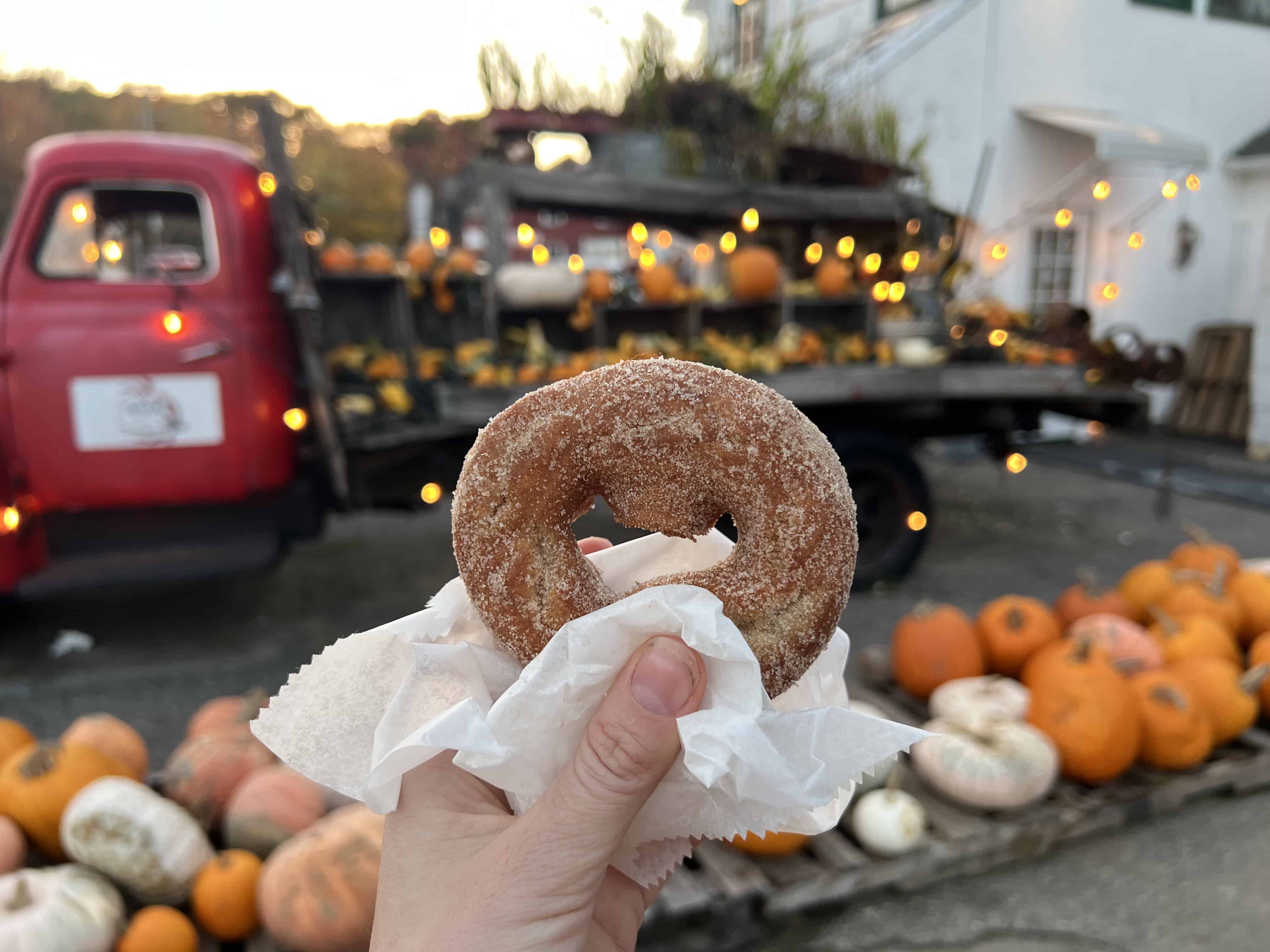 A hand holds a cinnamon sugar-dusted apple cider donut, a treat synonymous with New England fall activities, with a festive background of pumpkins and twinkling lights adorning a vintage red truck.