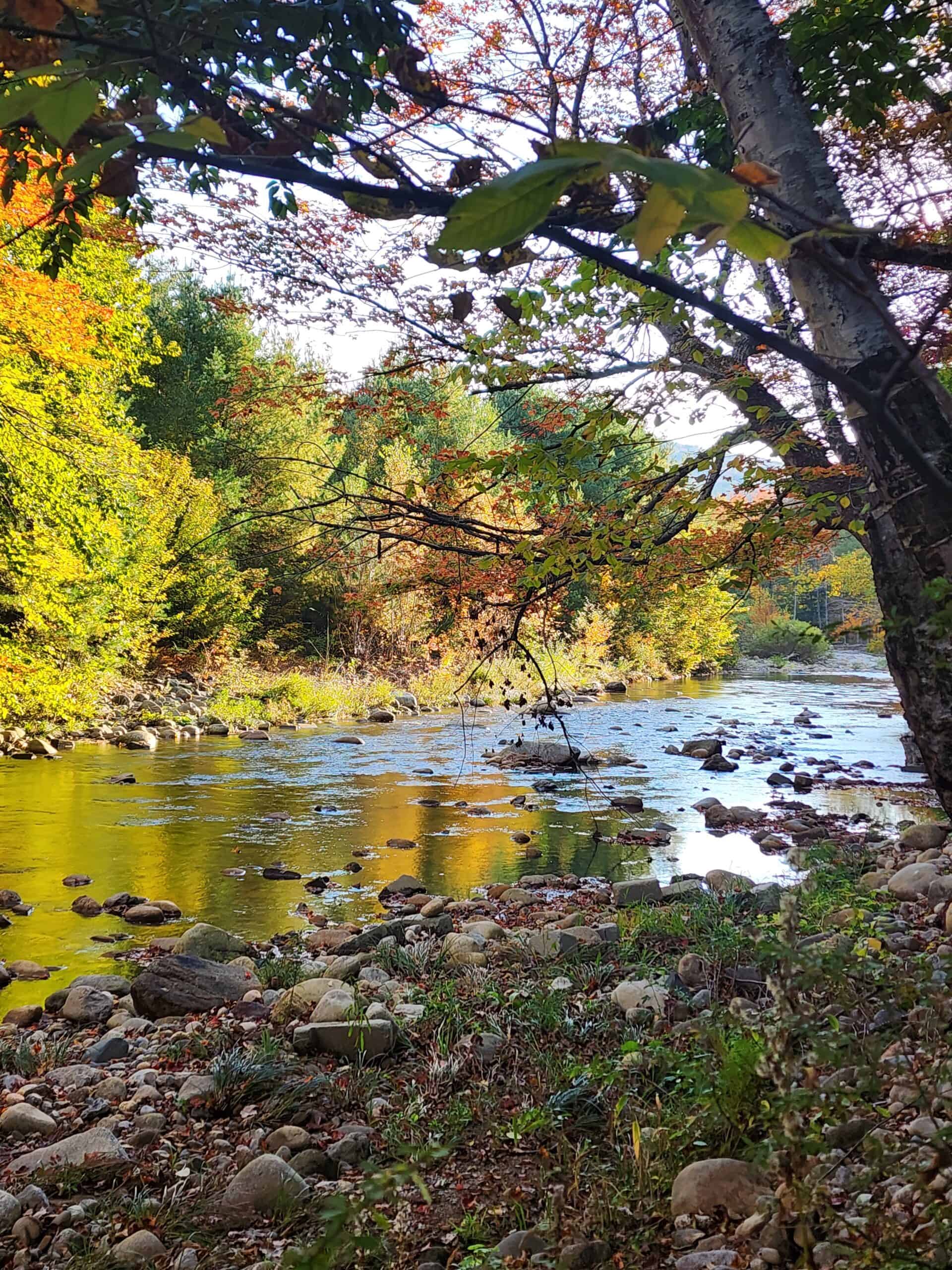 A river with fall foliage in White Mountains New Hampshire on a sunny day