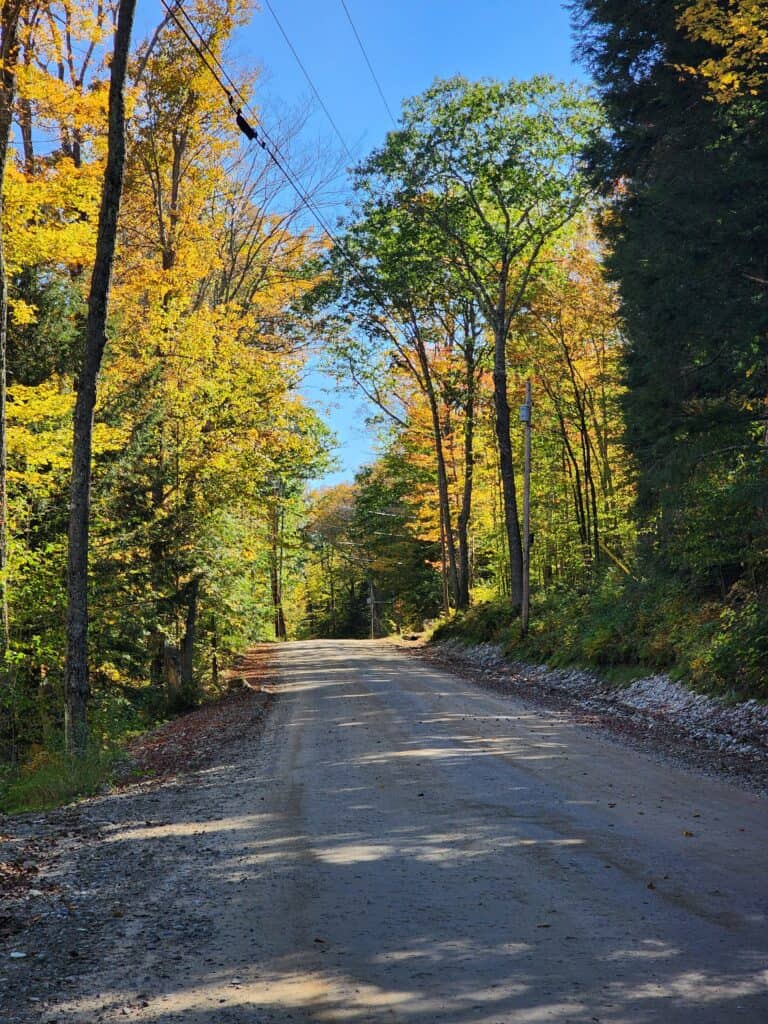 A fall road in New Hampshire