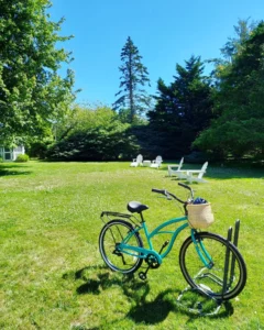 A blue bike in Cape Cod against vibrant green grass on one of the most popular New England family vacation ideas